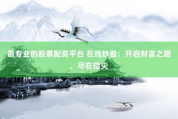最专业的股票配资平台 在线炒股：开启财富之路，尽在指尖