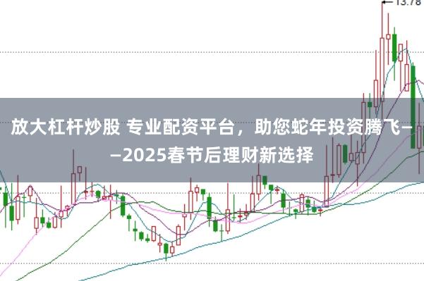 放大杠杆炒股 专业配资平台，助您蛇年投资腾飞——2025春节后理财新选择