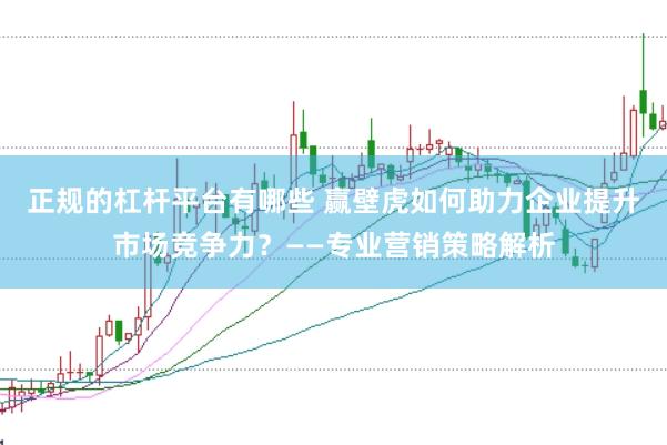 正规的杠杆平台有哪些 赢壁虎如何助力企业提升市场竞争力？——专业营销策略解析