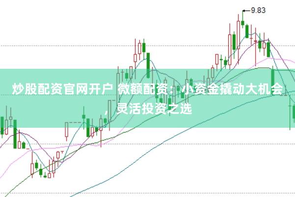 炒股配资官网开户 微额配资：小资金撬动大机会，灵活投资之选