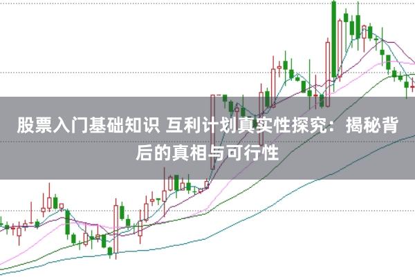 股票入门基础知识 互利计划真实性探究：揭秘背后的真相与可行性