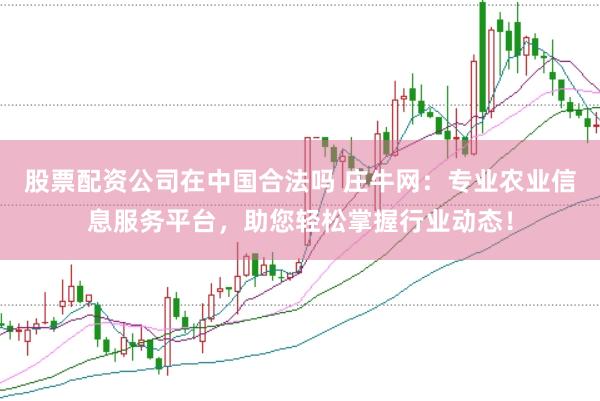 股票配资公司在中国合法吗 庄牛网：专业农业信息服务平台，助您轻松掌握行业动态！