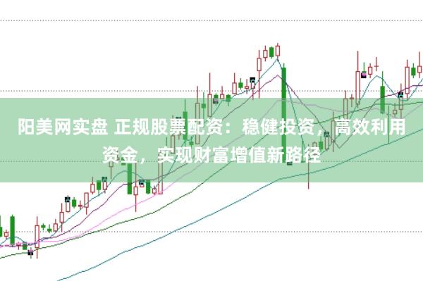 阳美网实盘 正规股票配资：稳健投资，高效利用资金，实现财富增值新路径