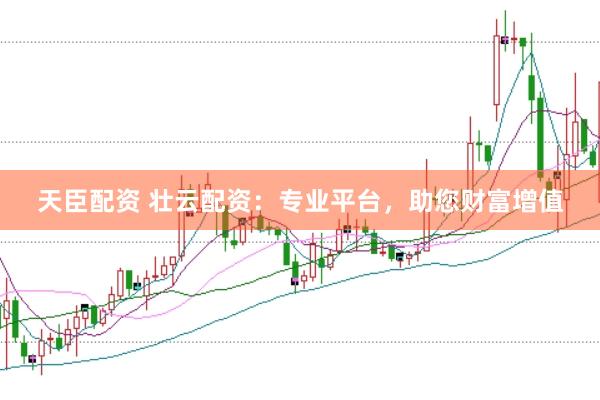 天臣配资 壮云配资：专业平台，助您财富增值