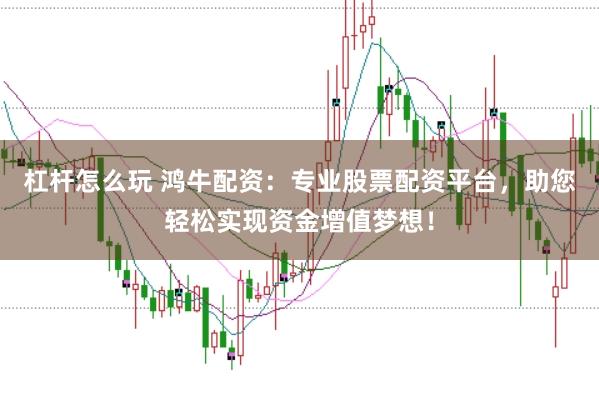 杠杆怎么玩 鸿牛配资：专业股票配资平台，助您轻松实现资金增值梦想！