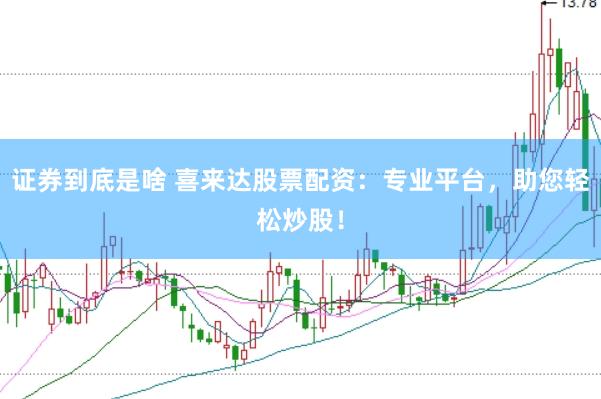 证券到底是啥 喜来达股票配资：专业平台，助您轻松炒股！