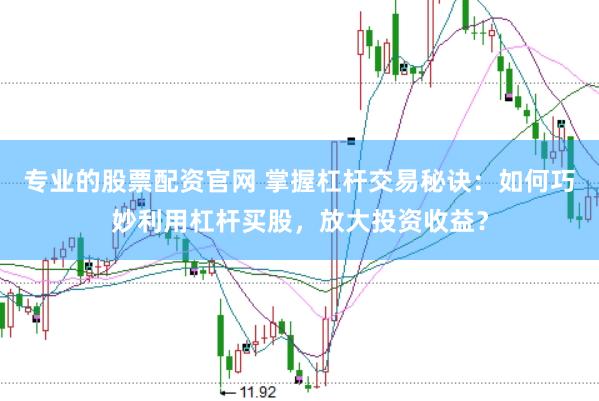专业的股票配资官网 掌握杠杆交易秘诀：如何巧妙利用杠杆买股，放大投资收益？