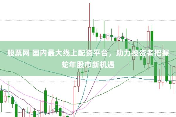 股票网 国内最大线上配资平台，助力投资者把握蛇年股市新机遇