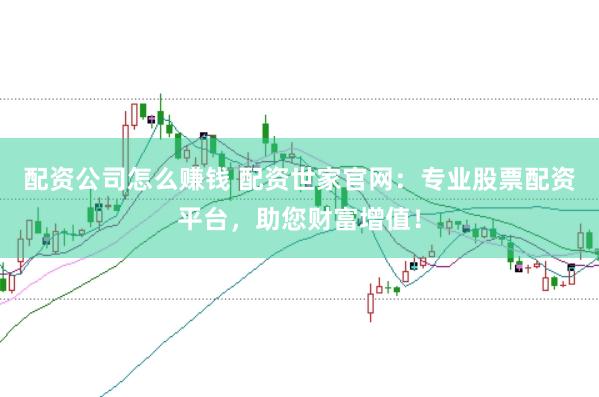 配资公司怎么赚钱 配资世家官网:专业股票配资平台,助您财富增值!