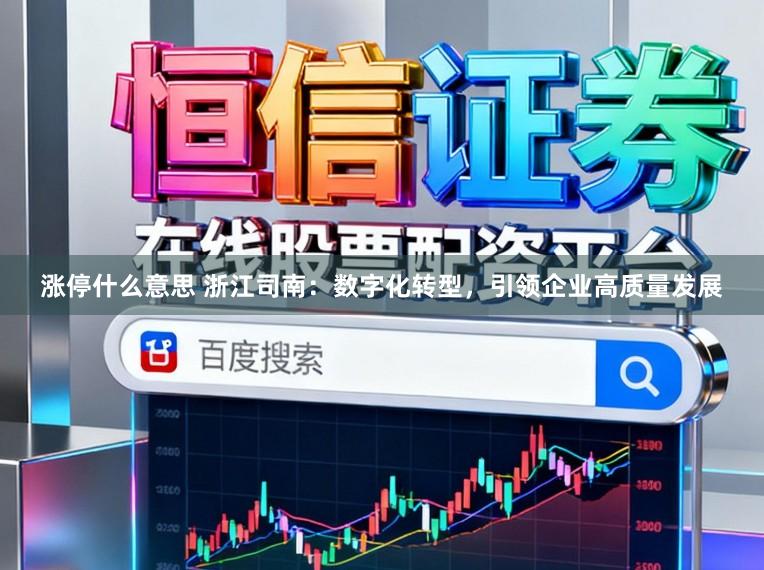 涨停什么意思 浙江司南：数字化转型，引领企业高质量发展